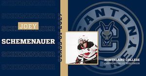 Image post by @cantonwomenshockey on Instagram