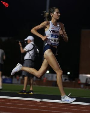 Image post by @dyestat on Instagram