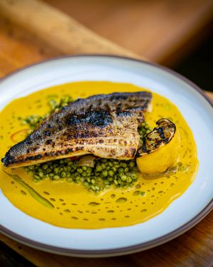 Image post by @thewilcox on Instagram