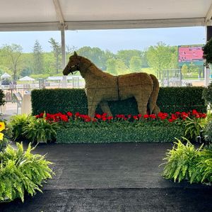 Image post by @kyhorseshows on Instagram