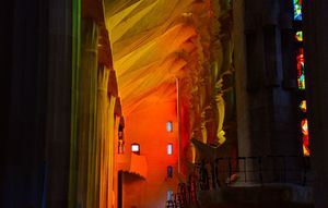 Image post by @bovadawg.visuals on Instagram