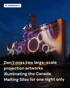 Image post by @curiocitytoronto on Instagram