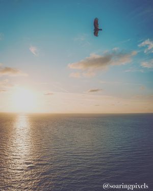Image post by @soaringpixels on Instagram
