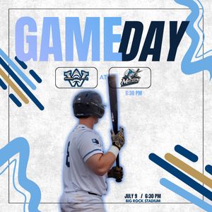 Image post by @ilmsharks on Instagram
