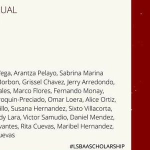 Image post by @lsbaalumni on Instagram