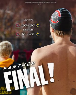 Image post by @chapmanuswimdive on Instagram