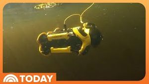 Video post by @today on YouTube