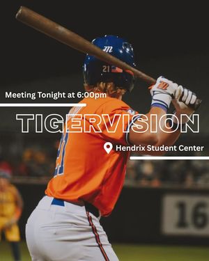 Image post by @cutigervision on Instagram