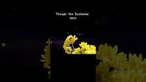 Video post by @amaiguri on YouTube