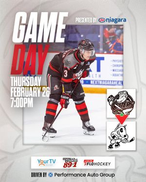 Image post by @ohlicedogs on Instagram