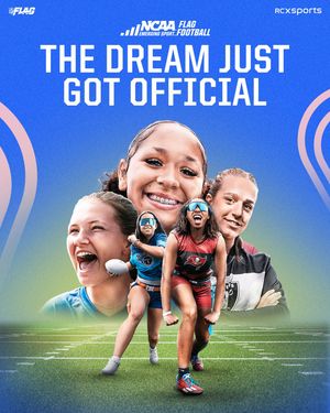 Image post by @nflflag on Instagram
