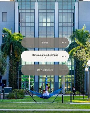 Image post by @fgcu on Instagram