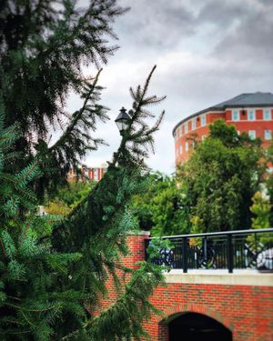 Image post by @ohio.university on Instagram