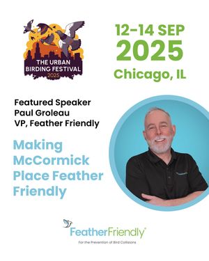 Image post by @featherfriendly on Instagram