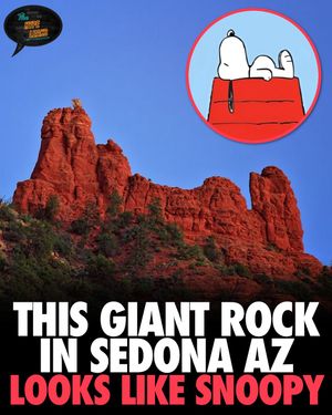 Image post by @thehypeleaks on Instagram