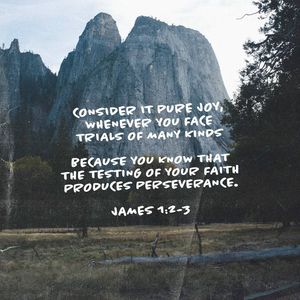 Image post by @realtatestephens on Instagram