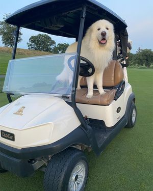 Image post by @pga on Instagram