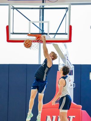 Image post by @njithoops on Instagram