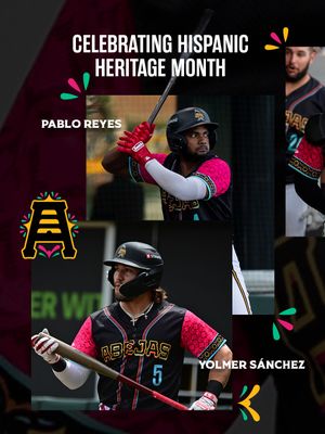 Image post by @saltlakebees on Instagram