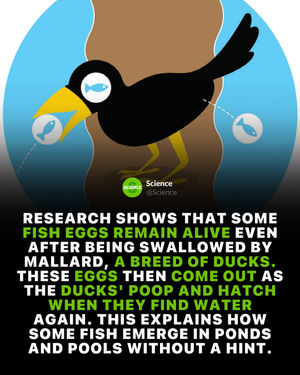 Image post by @science on Instagram