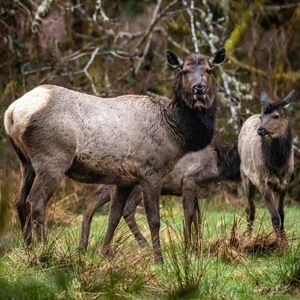 Image post by @wanatlparkfund on Instagram