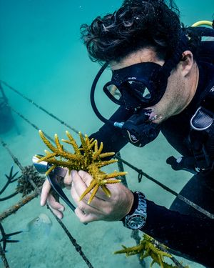 Image post by @rolex on Instagram