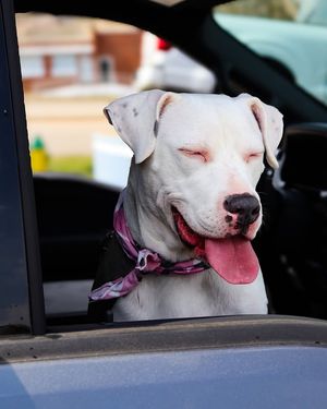 Image post by @paulmillerautooutlet on Instagram