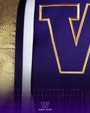 Image post by @huskyband on Instagram