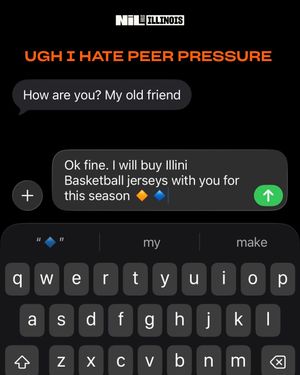 Image post by @illinois.nil.store on Instagram