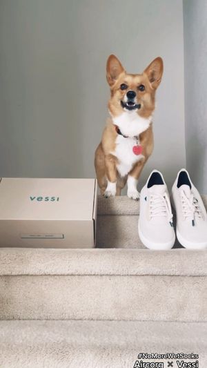 Video post by @aircorg on Instagram
