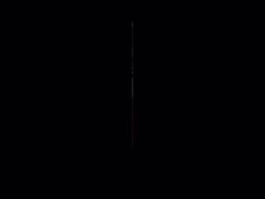 Video post by @Allycia Murphy for Las Vegas Municipal Court, Department 2 on Facebook