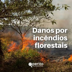 Image post by @operitoambiental on Instagram