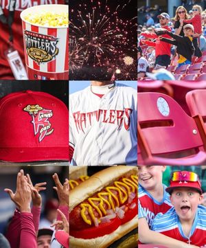 Image post by @witimberrattlers on Instagram