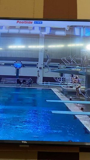 Video post by @lala_the_diver on Instagram