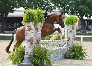 Image post by @kyhorseshows on Instagram