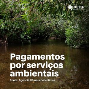 Image post by @operitoambiental on Instagram