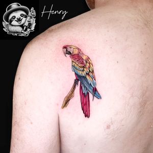 Image post by @whitesloth.tattoo on Instagram