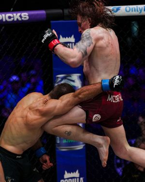 Image post by @pflmma on Instagram