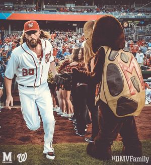 Image post by @marylandterrapins on Instagram