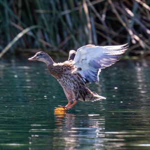 Image post by @ariannagrainey on Instagram