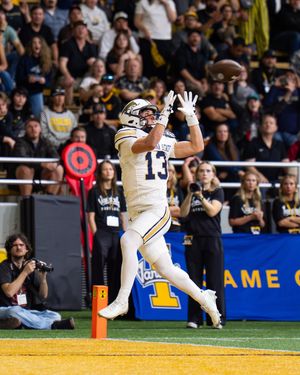 Image post by @msubobcatsfb on Instagram
