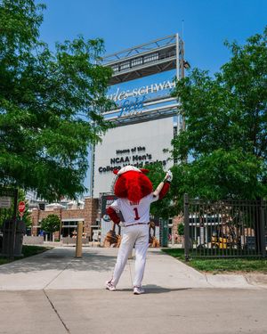 Image post by @razorbackmascots on Instagram