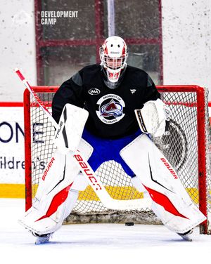 Image post by @Avalanche on Twitter