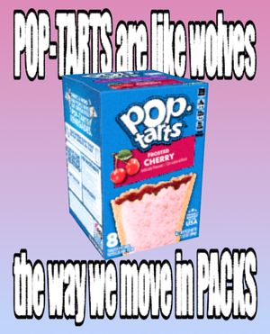 Image post by @poptartsus on Instagram