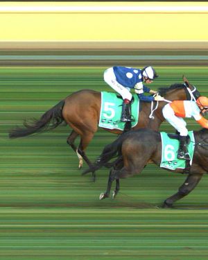 Image post by @flemingtonvrc on Instagram