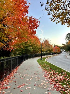Image post by @bostoncollege on Instagram