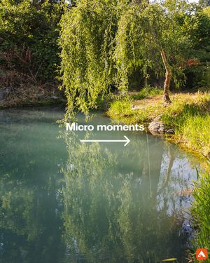 Image post by @hipcamp on Instagram