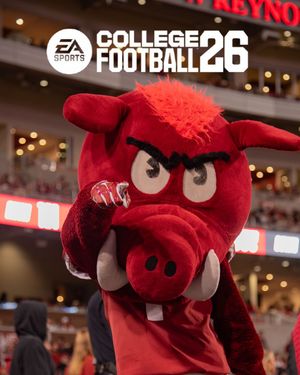 Image post by @razorbackmascots on Instagram