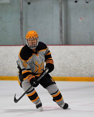 Image post by @lbsuhockey on Instagram