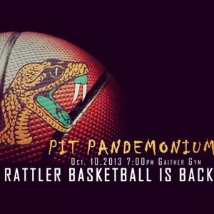 Image post by @famuathletics on Instagram